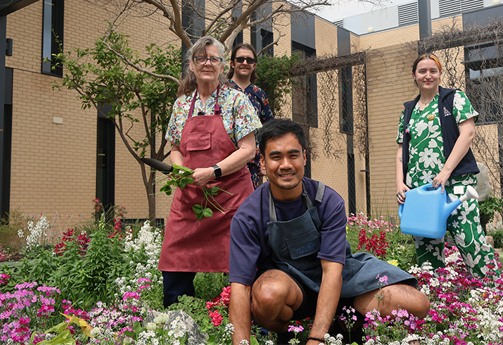 Four staff members of the State Rehabilitation Service work in a colourful flower garden