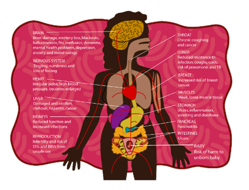 Aboriginal female body featuring individual body parts including a detailed reproductive system featuring baby in womb &ndash; long description available